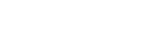 Made By Bisu logo